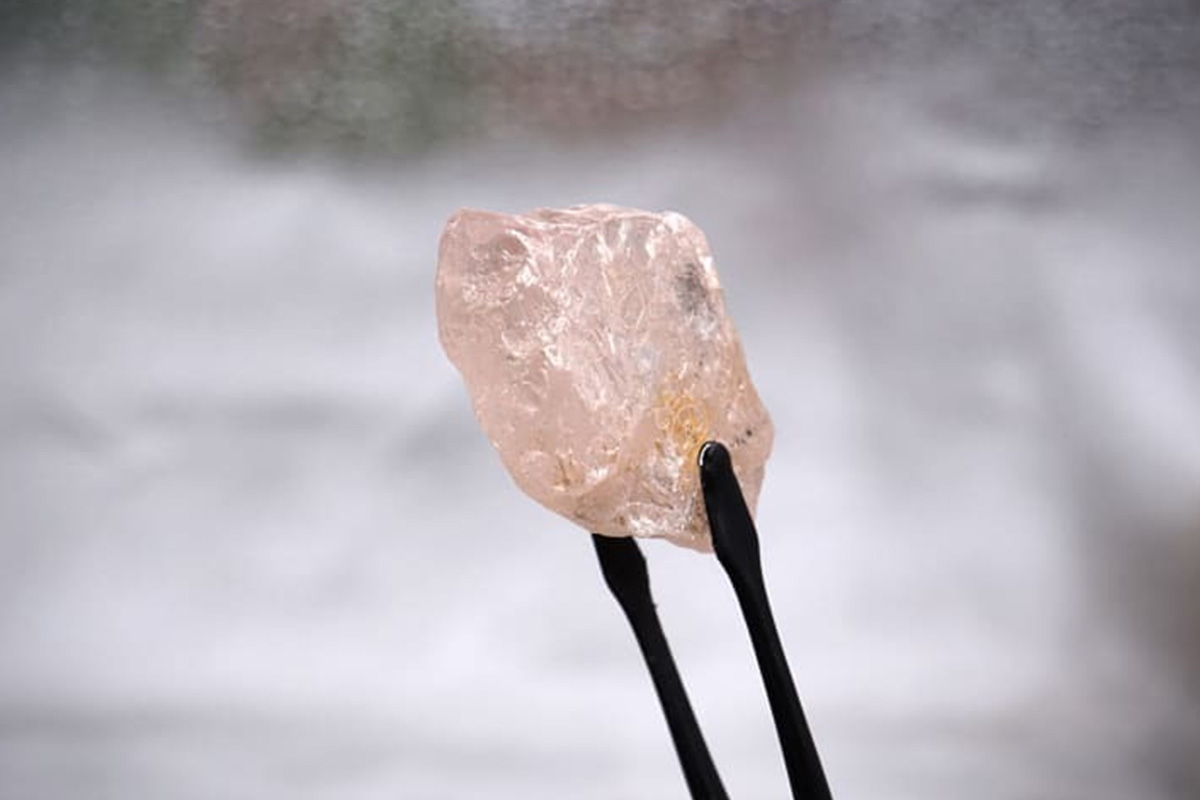 170ctのピンクダイヤモンド〝ルロ・ローズ〟